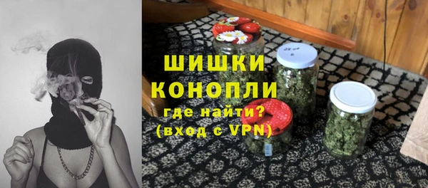 spice Богданович