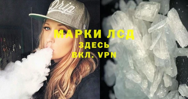 spice Богданович