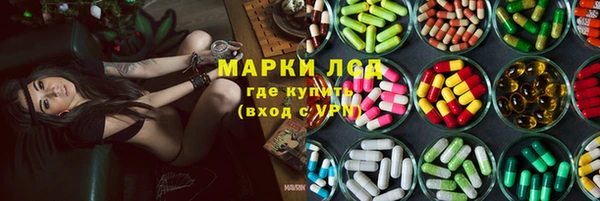spice Богданович