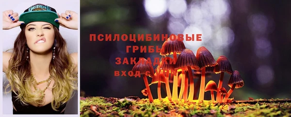 СК Белокуриха