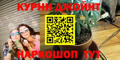тгк Славгород