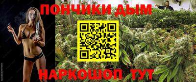 МДПВ Сланцы
