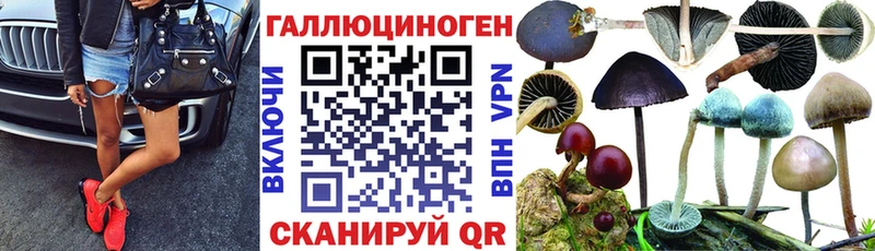 Псилоцибиновые грибы мицелий  Реж 