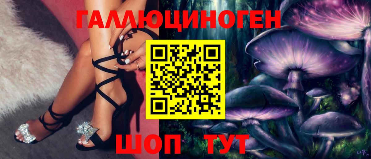 Реж  Псилоцибиновые грибы Psilocybe  Вход с VPN 