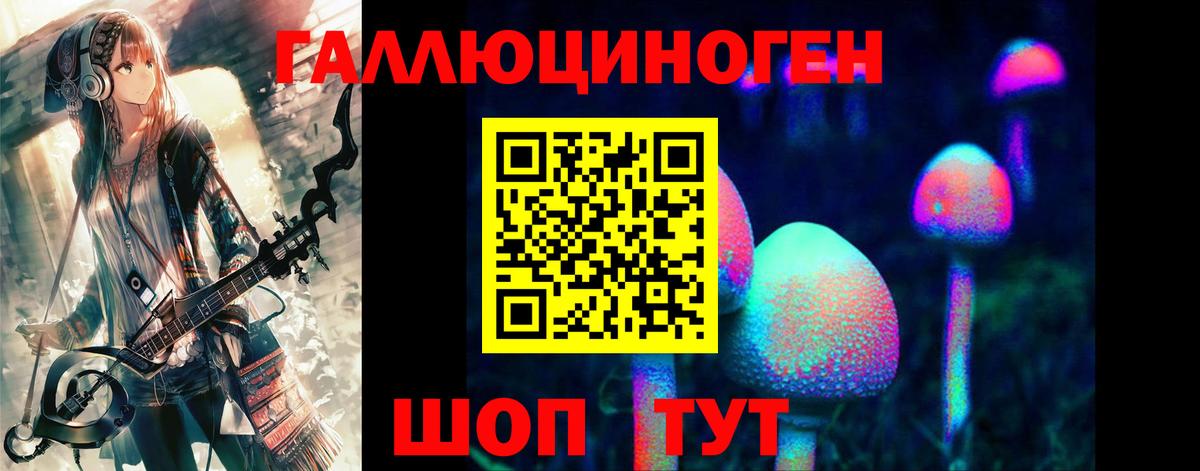 Псилоцибиновые грибы Psilocybine cubensis Реж